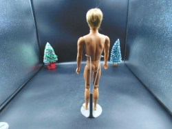 BLONDE KEN BLUE BACK VIEW